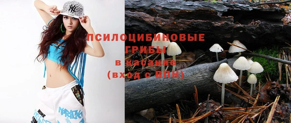 эйфоретик Баксан