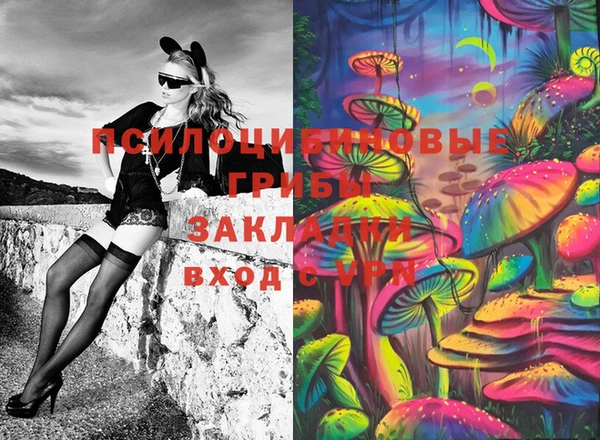 эйфоретик Баксан